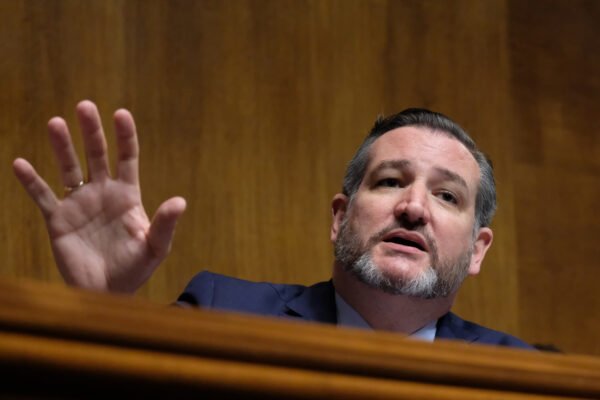 Ted Cruz’s new bill would let AI companies set their own rules for up to 10 years