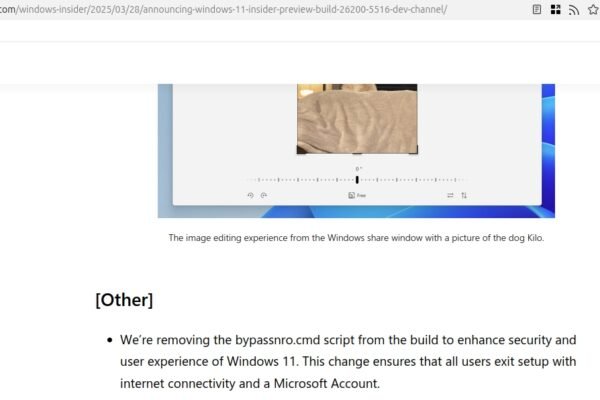 Microsoft is killing another workaround to set up Windows 11 without a Microsoft account
