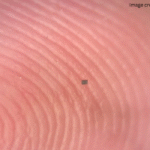 Researchers Build Autonomous Robots Smaller Than a Grain of Salt