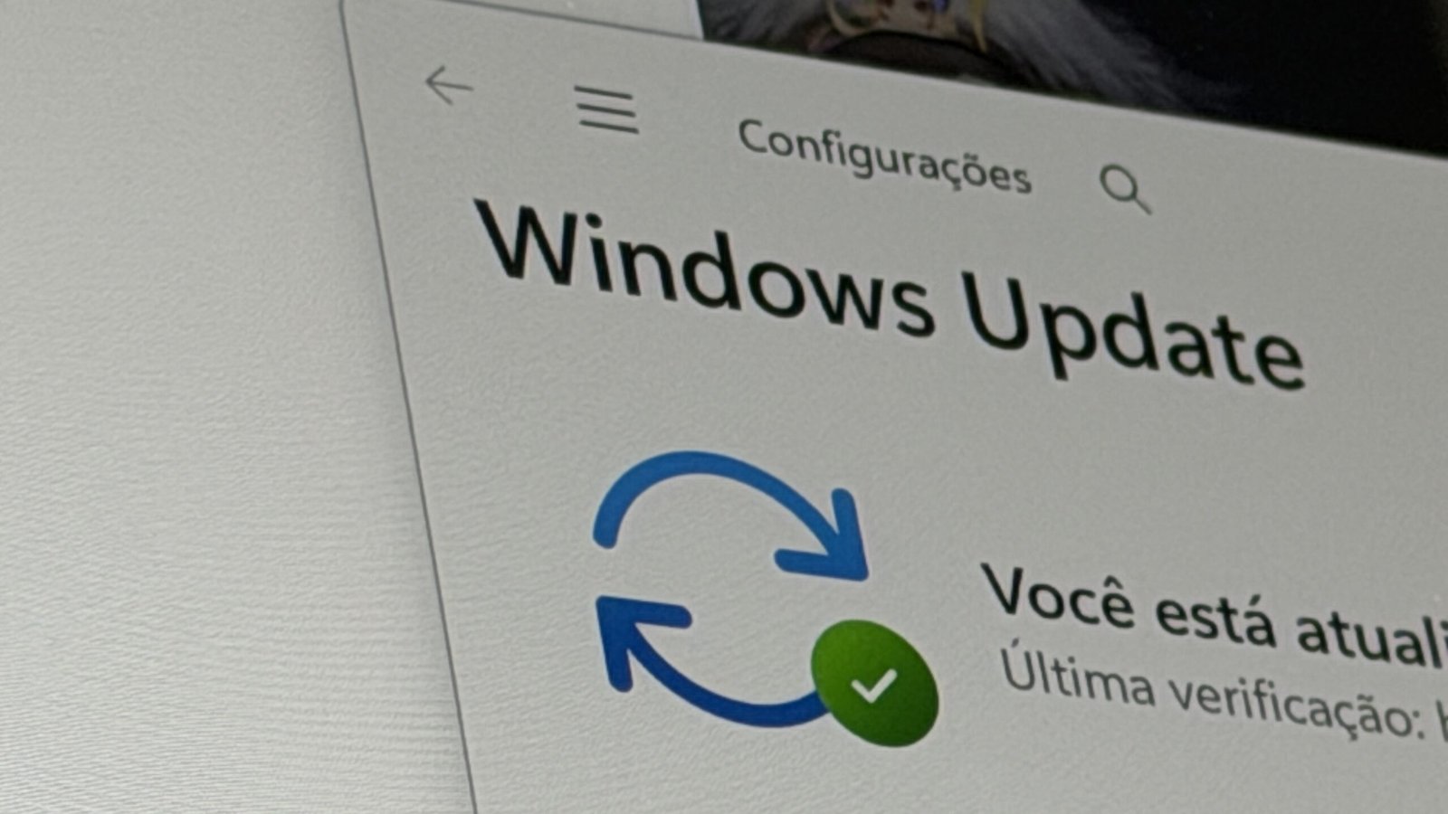 Windows 11: Microsoft Suspends Important Update After Installation Errors