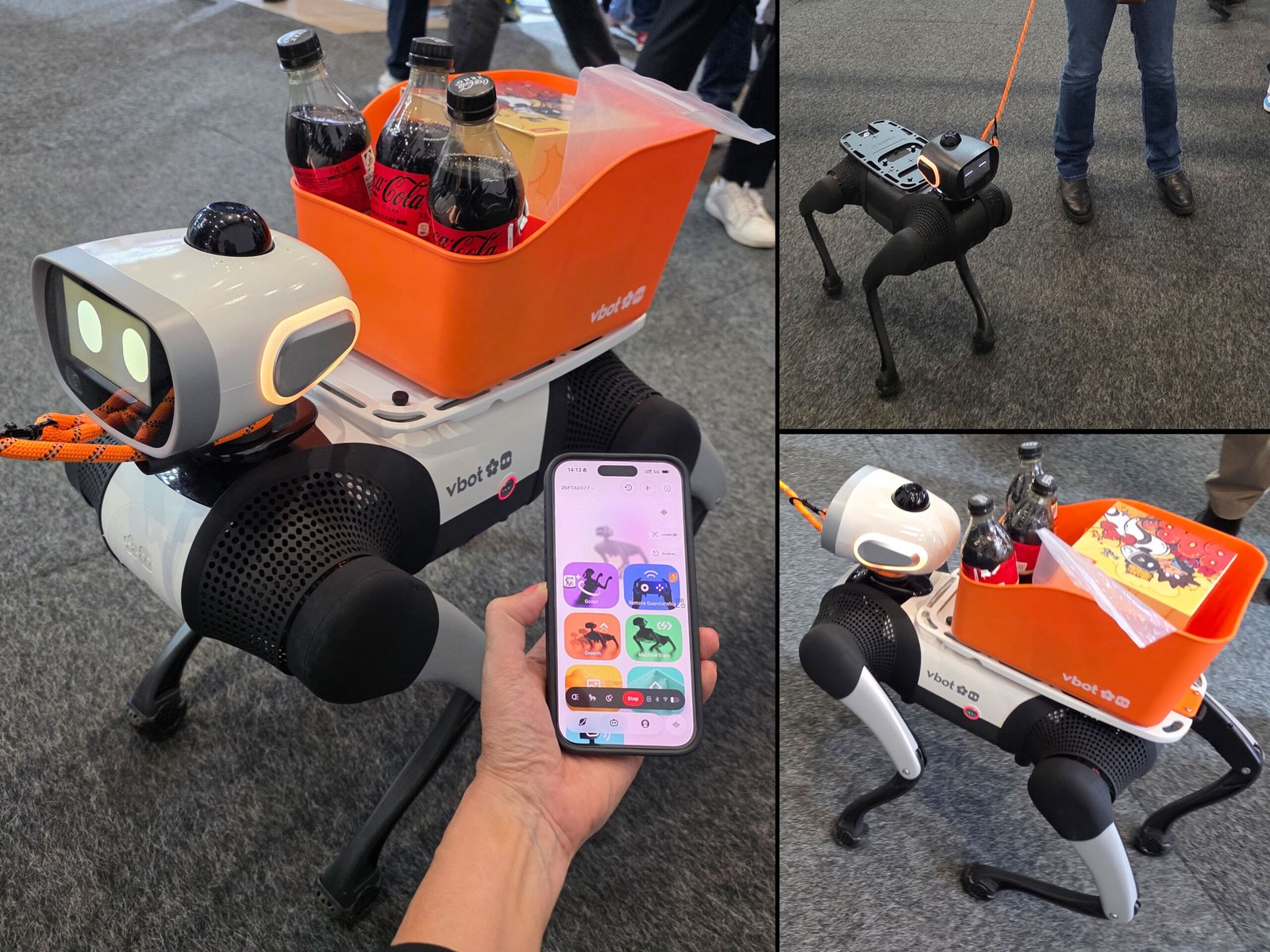 Vbot Launched SuperDog, a $3,000 AI Robot Companion, in Europe at IFA 2026