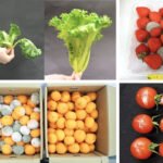 This Sudden Blast of Light Puts Produce Into Defense Mode to Stay Fresh